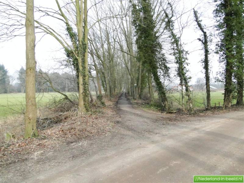 Diepenveen > Molenveldsweg luchtfoto's / foto's Nederlandinbeeld.nl